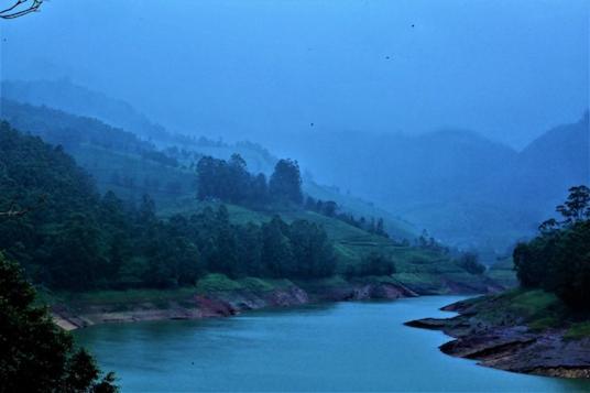 Ottway Hills Near Mattupetty Dam Hotel Munnar Eksteriør billede