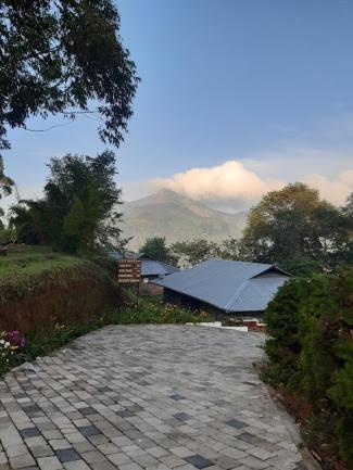 Ottway Hills Near Mattupetty Dam Hotel Munnar Eksteriør billede